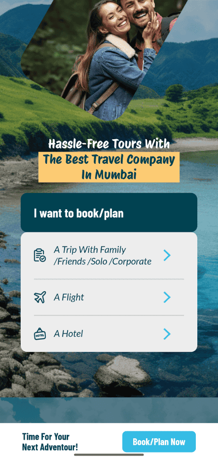 Travel website design